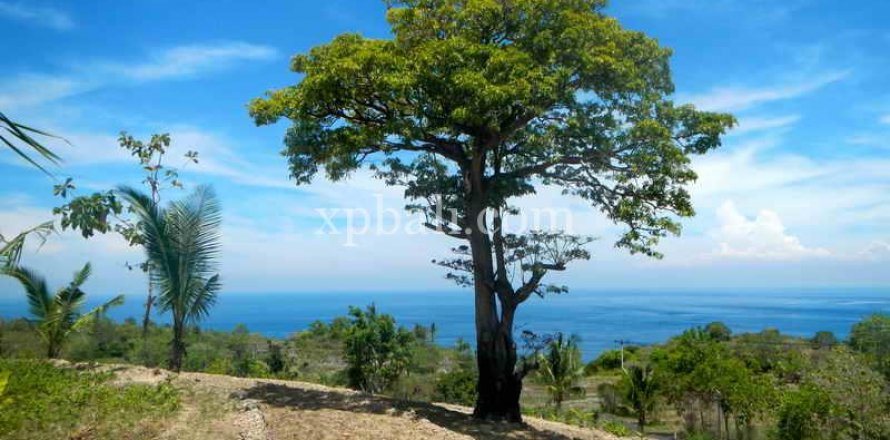 25800m2 Land in Nusa Penida, Klungkung, Indonesia No. 459
