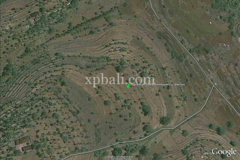 25800m2 Land in Nusa Penida, Klungkung, Indonesia No. 459 4