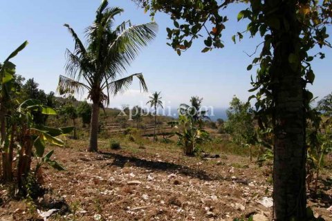 25800m2 Land in Nusa Penida, Klungkung, Indonesia No. 459 6
