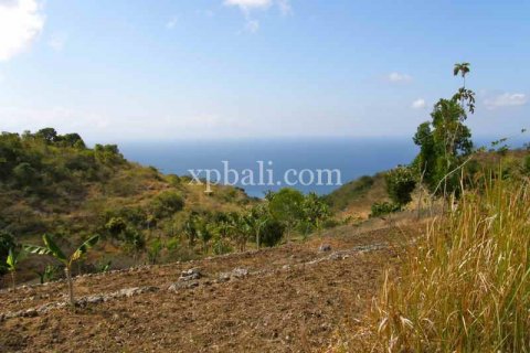 25800m2 Land in Nusa Penida, Klungkung, Indonesia No. 459 5