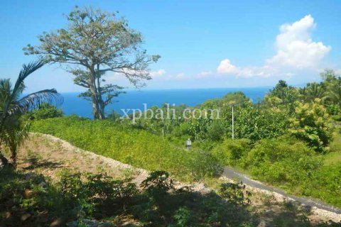 25800m2 Land in Nusa Penida, Klungkung, Indonesia No. 459 2