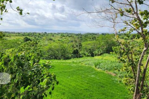 Земельный участок 500м2 в Gianyar, Гианьяр, Индонезия № 7013 6