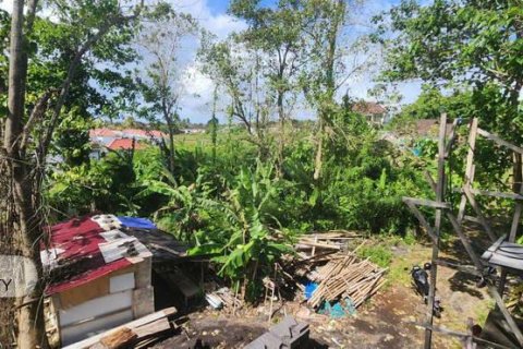 Земельный участок 500м2 в Gianyar, Гианьяр, Индонезия № 7013 13
