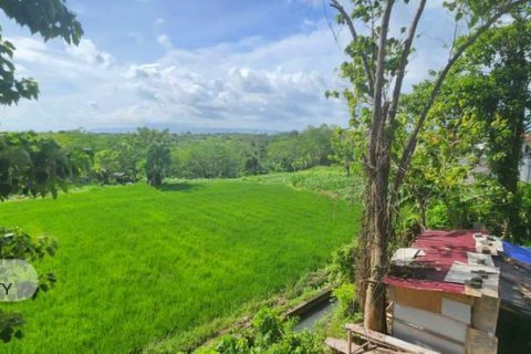 Земельный участок 500м2 в Gianyar, Гианьяр, Индонезия № 7013 14