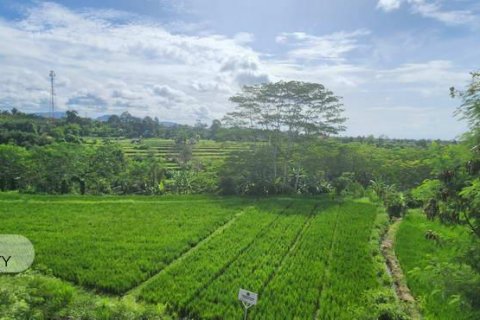 500m2 Land in Gianyar, Indonesia No. 7013