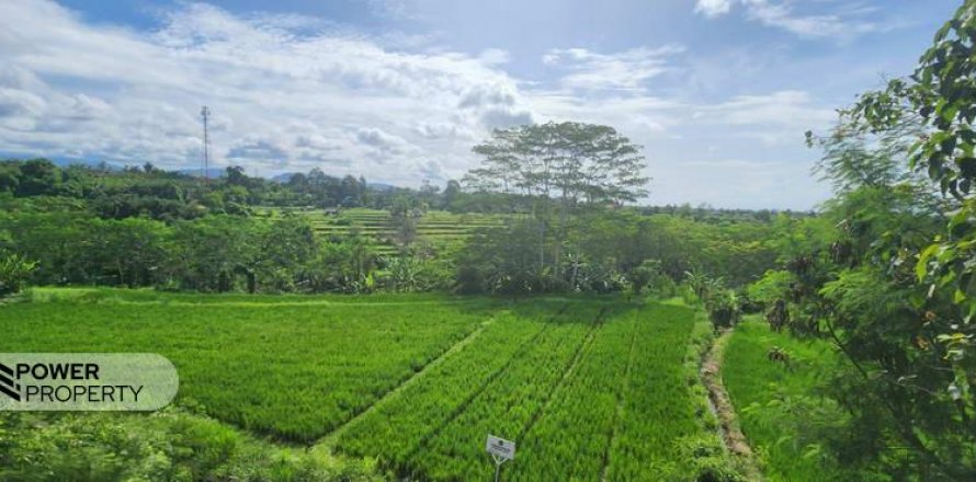 Земельный участок 500м2 в Gianyar, Гианьяр, Индонезия № 7013