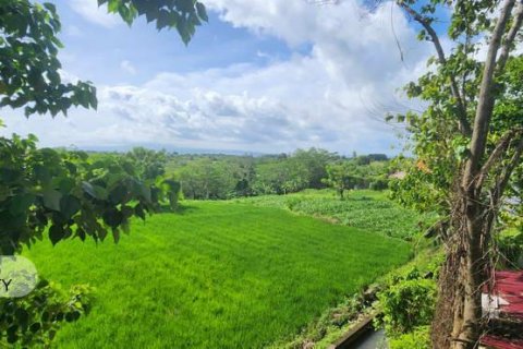 Земельный участок 500м2 в Gianyar, Гианьяр, Индонезия № 7013 5
