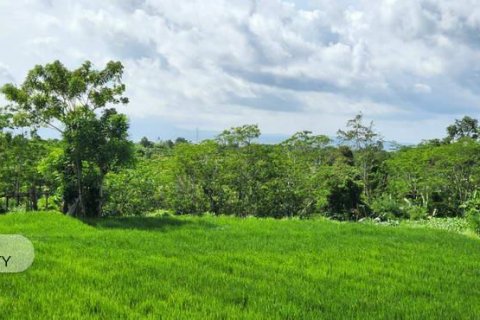 Земельный участок 500м2 в Gianyar, Гианьяр, Индонезия № 7013 11