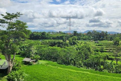 Земельный участок 500м2 в Gianyar, Гианьяр, Индонезия № 7013 9