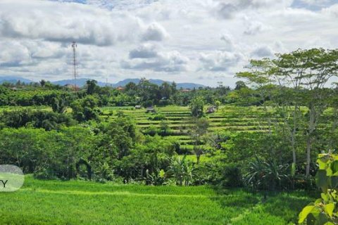 Земельный участок 500м2 в Gianyar, Гианьяр, Индонезия № 7013 10