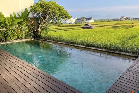 3 bedrooms Villa in Cemagi, Mengwi, Badung, Indonesia No. 11058 21