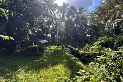 Land in Tegallalang, Gianyar, Indonesia No. 11062