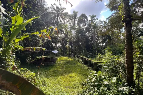 Land in Tegallalang, Gianyar, Indonesia No. 11062 3