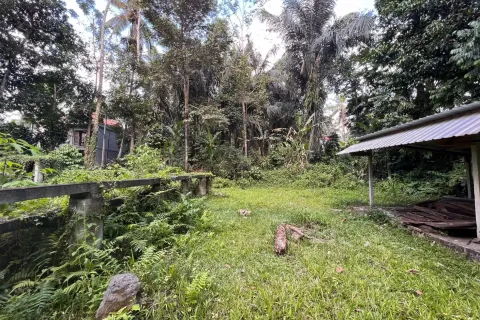 Land in Tegallalang, Gianyar, Indonesia No. 11062 2