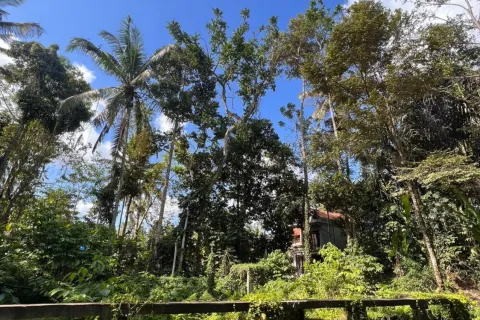 Land in Tegallalang, Gianyar, Indonesia No. 11062 4