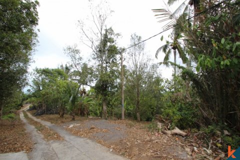 Land in Tabanan, Indonesia No. 11556