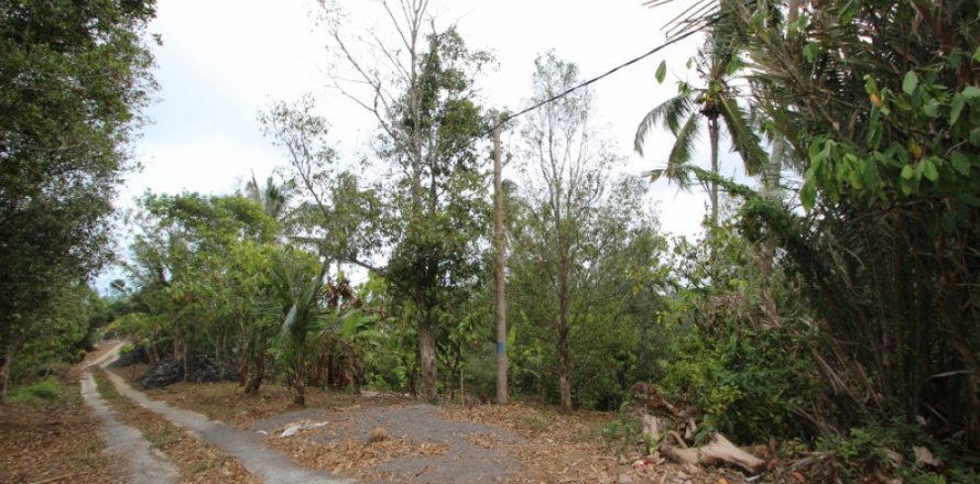 Land in Tabanan, Indonesia No. 11556