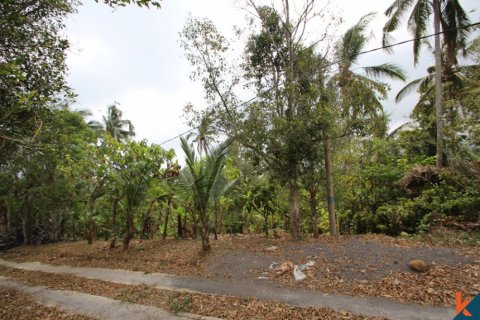 Land in Tabanan, Indonesia No. 11556 2