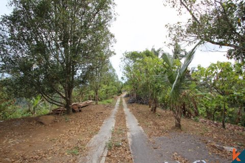 Land in Tabanan, Indonesia No. 11556 3