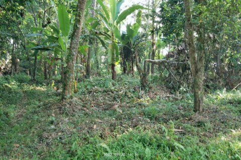 Land in Tabanan, Indonesia No. 11560 3