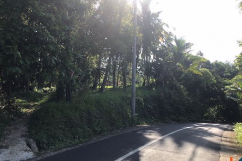 Land in Tabanan, Indonesia No. 11560
