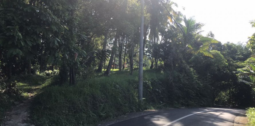 Land in Tabanan, Indonesia No. 11560