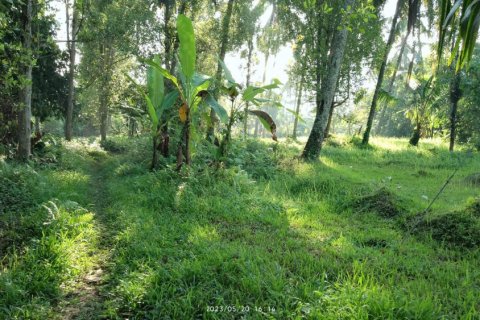 Land in Tabanan, Indonesia No. 11560 2