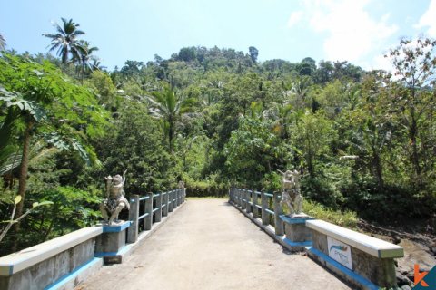 Land in Tabanan, Indonesia No. 11559