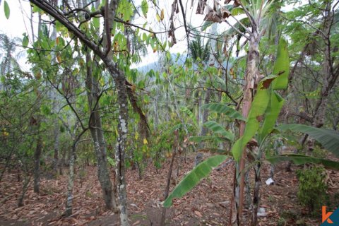 Land in Tabanan, Indonesia No. 11558