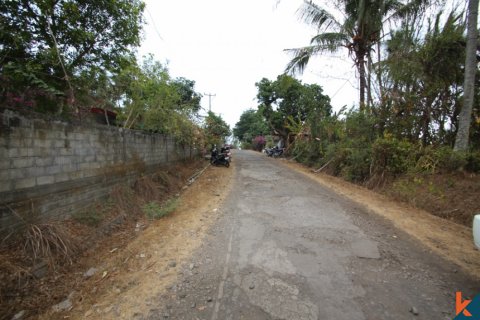 Land in Tabanan, Indonesia No. 11558 3