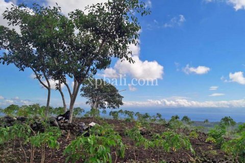 Земельный участок 2410м2 в Nusa Penida, Клунгкунг, Индонезия № 389 6