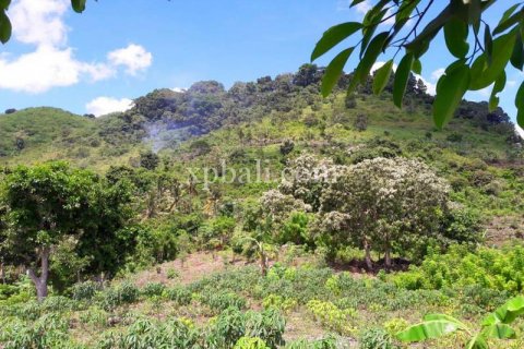 Земельный участок 2410м2 в Nusa Penida, Клунгкунг, Индонезия № 389 4