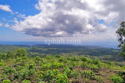 2410m2 Land in Nusa Penida, Klungkung, Indonesia No. 389