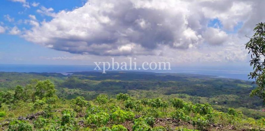 Земельный участок 2410м2 в Nusa Penida, Клунгкунг, Индонезия № 389