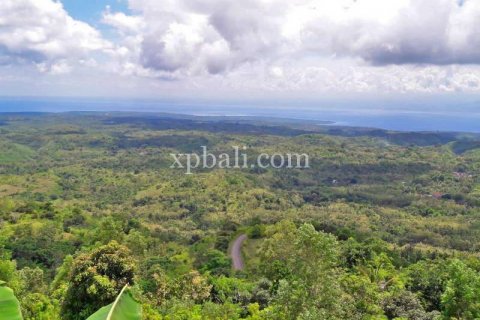 Земельный участок 2410м2 в Nusa Penida, Клунгкунг, Индонезия № 389 3