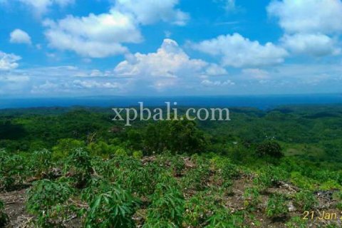 Земельный участок 2410м2 в Nusa Penida, Клунгкунг, Индонезия № 389 2