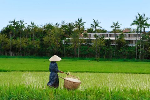 2 bedrooms Villa in Serenity Villas Ubud, Gianyar, Indonesia No. 7347 3