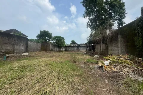Land in Tumbak Bayuh, Mengwi, Badung, Indonesia No. 10895 7