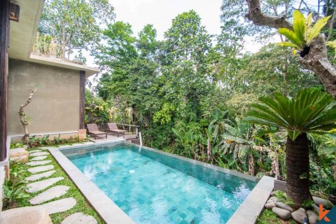 2 bedrooms Villa in Ubud, Gianyar, Indonesia No. 10949 4