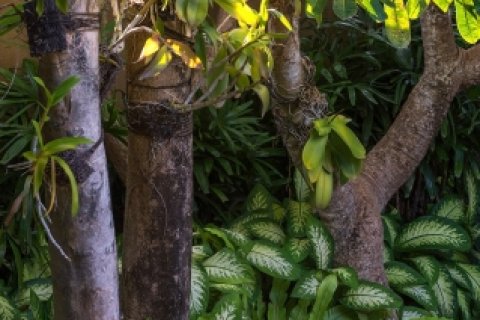 Вилла с 2 спальнями в Seminyak, Бадунг, Индонезия № 1174 13