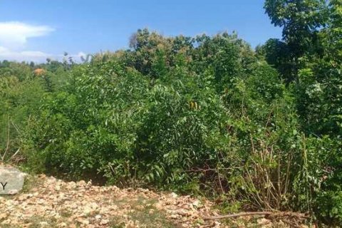 1860m2 Land in South Kuta, Badung, Indonesia No. 7626 5