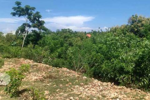 1860m2 Land in South Kuta, Badung, Indonesia No. 7626 4