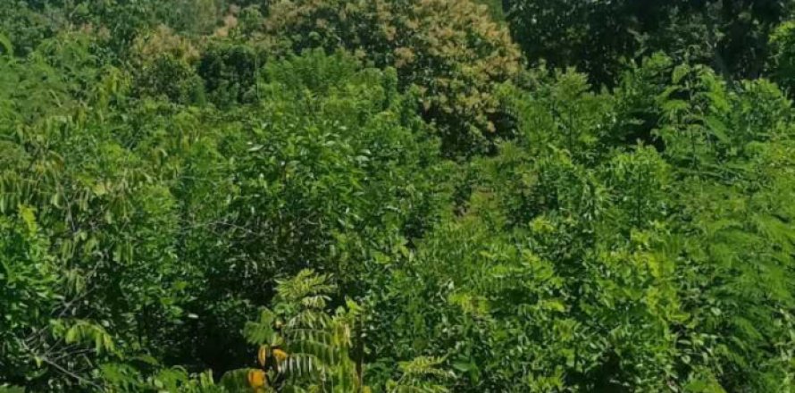 1860m2 Land in South Kuta, Badung, Indonesia No. 7626