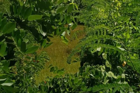 1860m2 Land in South Kuta, Badung, Indonesia No. 7626 3
