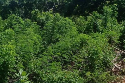 1860m2 Land in South Kuta, Badung, Indonesia No. 7626 2