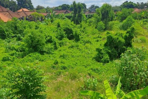 3650m2 Land in Jimbaran, Badung, Indonesia No. 7625 9