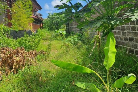3650m2 Land in Jimbaran, Badung, Indonesia No. 7625 6