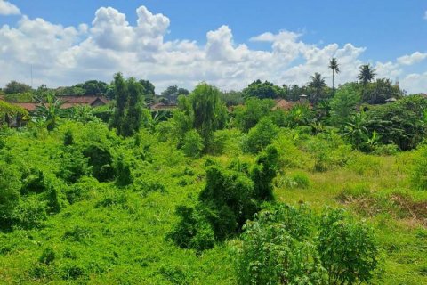 3650m2 Land in Jimbaran, Badung, Indonesia No. 7625 7