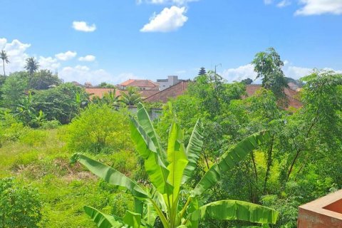 3650m2 Land in Jimbaran, Badung, Indonesia No. 7625 8