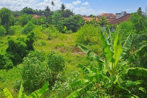 3650m2 Land in Jimbaran, Badung, Indonesia No. 7625 3